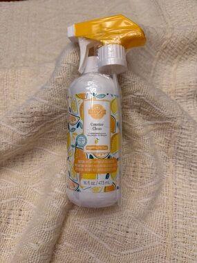 Scentsy Squeeze the Day Counter Clean - BUNDLE TO SAVE